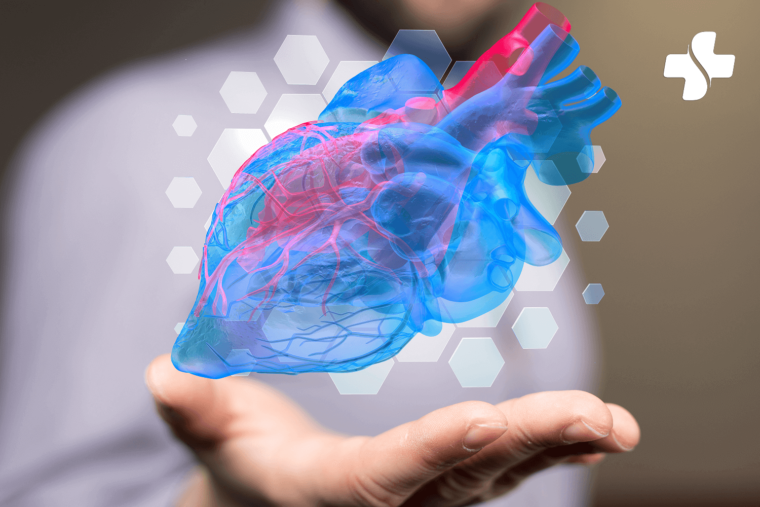 Cœur en 3D cardiologie